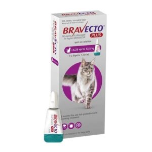 BRAVECTO Plus Cat - spot-on za mačke 6,25-12,5 kg