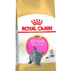 Royal Canin British Shorthair Kitten - 2 kg