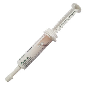 Biochem Probican pasta - 15 ml