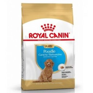 Royal Canin Poodle Puppy - 3 kg